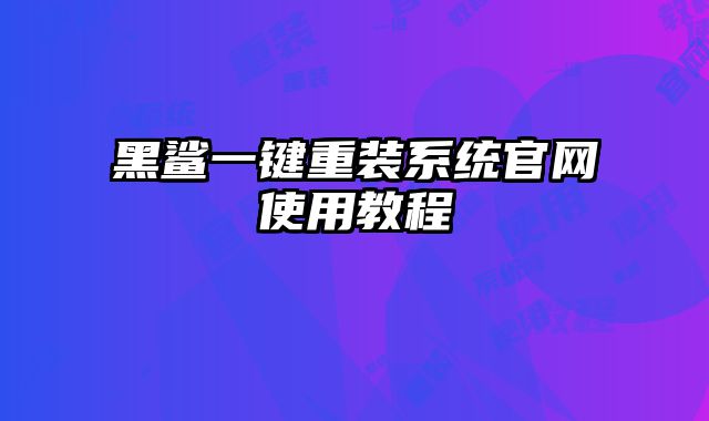 黑鯊一鍵重裝系統(tǒng)官網(wǎng)使用教程