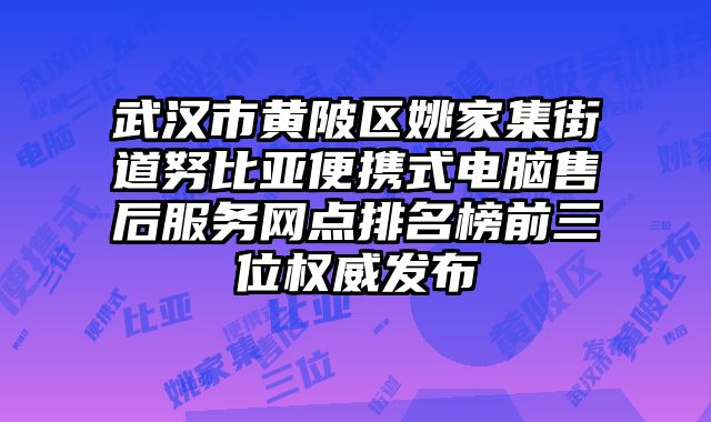 武漢市黃陂區姚家集街道努比亞便攜式電腦售后服務網點排名榜前三位權威發布