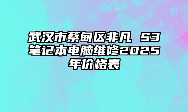 武漢市蔡甸區非凡 S3筆記本電腦維修2025年價格表