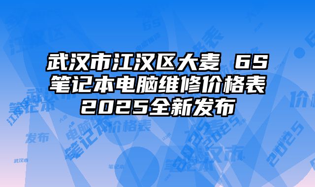 武漢市江漢區大麥 6S筆記本電腦維修價格表2025全新發布