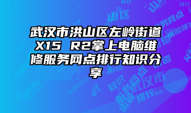 武漢市洪山區左嶺街道X15 R2掌上電腦維修服務網點排行知識分享