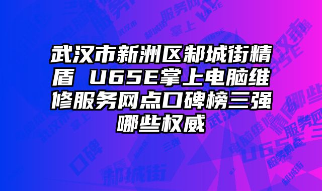 武漢市新洲區(qū)邾城街精盾 U65E掌上電腦維修服務(wù)網(wǎng)點口碑榜三強哪些權(quán)威