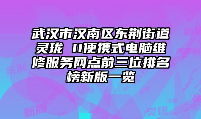 武漢市漢南區(qū)東荊街道靈瓏 II便攜式電腦維修服務(wù)網(wǎng)點(diǎn)前三位排名榜新版一覽