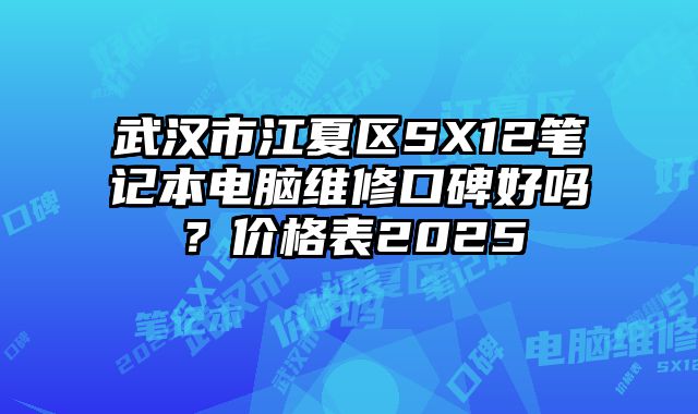 武漢市江夏區SX12筆記本電腦維修口碑好嗎？價格表2025