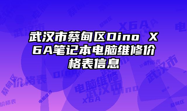 武漢市蔡甸區(qū)Dino X6A筆記本電腦維修價(jià)格表信息