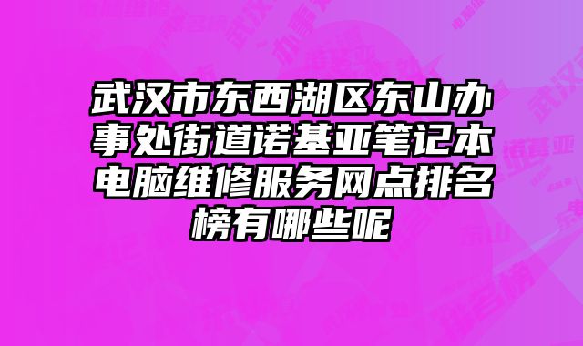 武漢市東西湖區東山辦事處街道諾基亞筆記本電腦維修服務網點排名榜有哪些呢