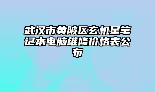 武漢市黃陂區(qū)玄機(jī)星筆記本電腦維修價(jià)格表公布