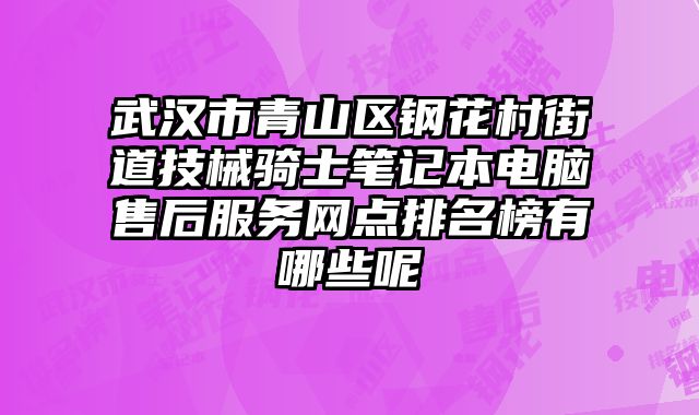 武漢市青山區鋼花村街道技械騎士筆記本電腦售后服務網點排名榜有哪些呢