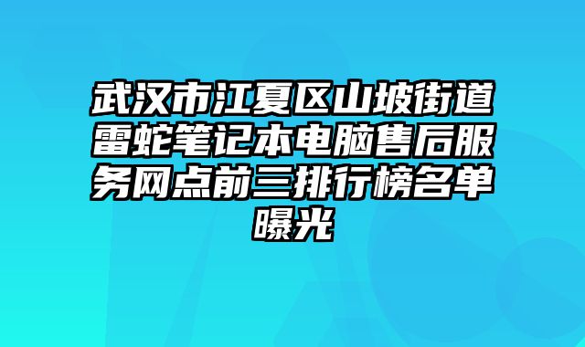 武漢市江夏區山坡街道雷蛇筆記本電腦售后服務網點前三排行榜名單曝光