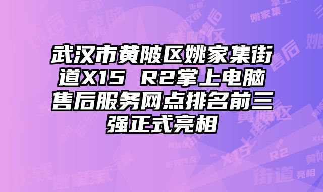 武漢市黃陂區姚家集街道X15 R2掌上電腦售后服務網點排名前三強正式亮相