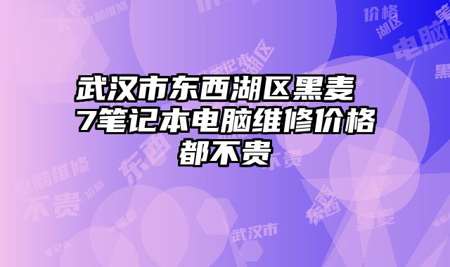 武漢市東西湖區(qū)黑麥 7筆記本電腦維修價格都不貴