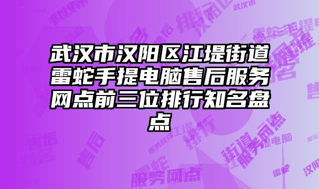 武漢市漢陽區江堤街道雷蛇手提電腦售后服務網點前三位排行知名盤點