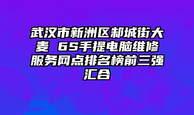 武漢市新洲區邾城街大麥 6S手提電腦維修服務網點排名榜前三強匯合