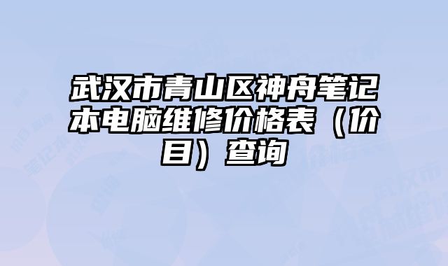 武漢市青山區(qū)神舟筆記本電腦維修價(jià)格表（價(jià)目）查詢