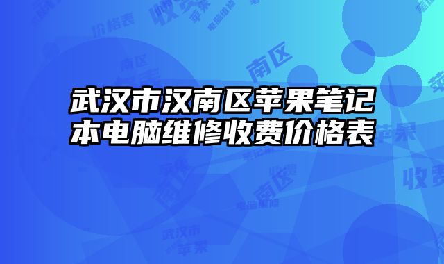 武漢市漢南區(qū)蘋(píng)果筆記本電腦維修收費(fèi)價(jià)格表