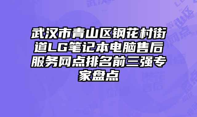 武漢市青山區(qū)鋼花村街道LG筆記本電腦售后服務(wù)網(wǎng)點排名前三強專家盤點