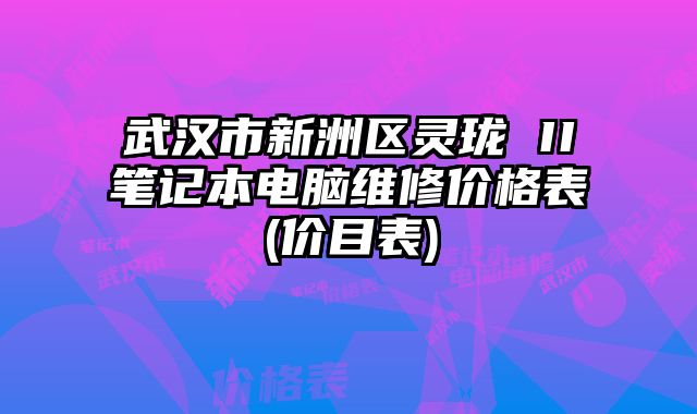武漢市新洲區(qū)靈瓏 II筆記本電腦維修價格表(價目表)