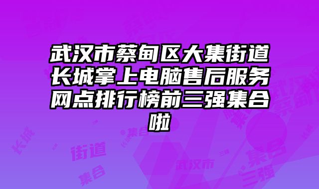 武漢市蔡甸區大集街道長城掌上電腦售后服務網點排行榜前三強集合啦