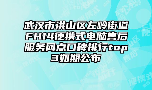 武漢市洪山區左嶺街道FH14便攜式電腦售后服務網點口碑排行top3如期公布