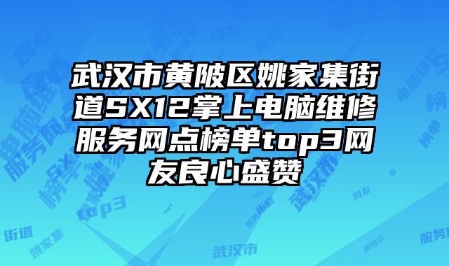 武漢市黃陂區姚家集街道SX12掌上電腦維修服務網點榜單top3網友良心盛贊