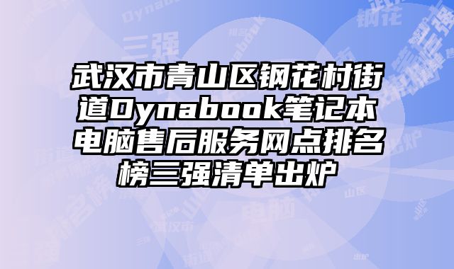 武漢市青山區鋼花村街道Dynabook筆記本電腦售后服務網點排名榜三強清單出爐