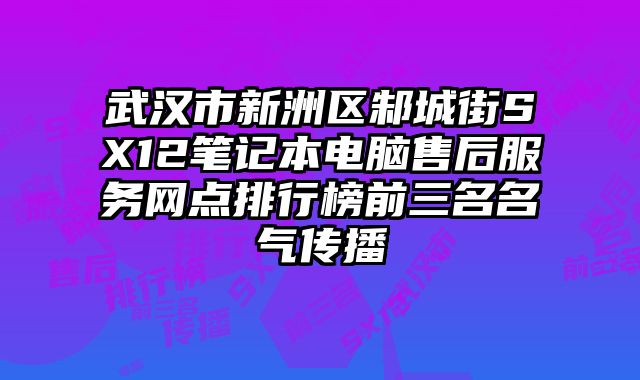 武漢市新洲區(qū)邾城街SX12筆記本電腦售后服務(wù)網(wǎng)點(diǎn)排行榜前三名名氣傳播