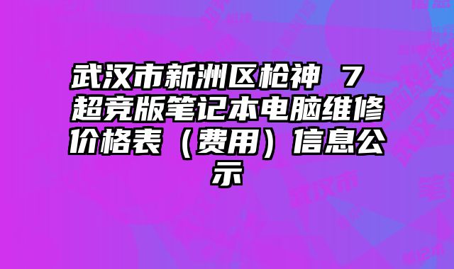 武漢市新洲區(qū)槍神 7 超競(jìng)版筆記本電腦維修價(jià)格表（費(fèi)用）信息公示