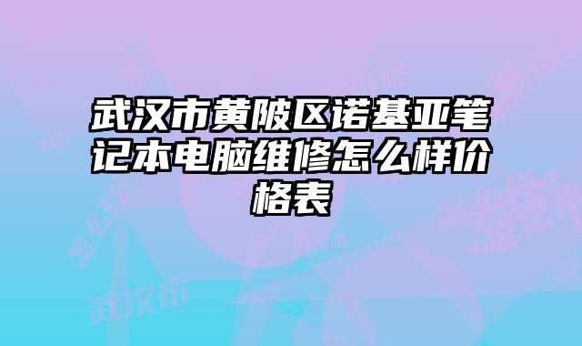 武漢市黃陂區(qū)諾基亞筆記本電腦維修怎么樣價(jià)格表
