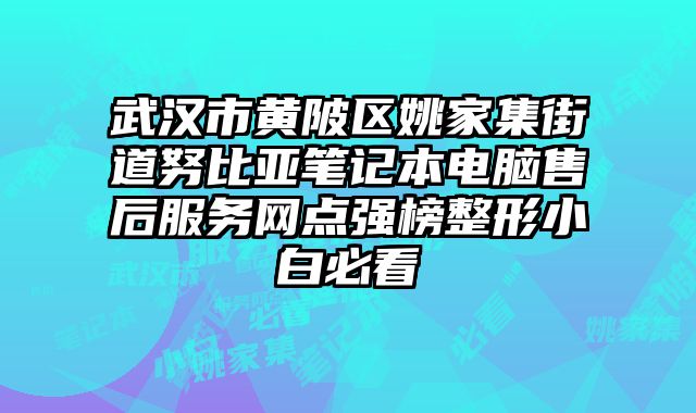 武漢市黃陂區姚家集街道努比亞筆記本電腦售后服務網點強榜整形小白必看