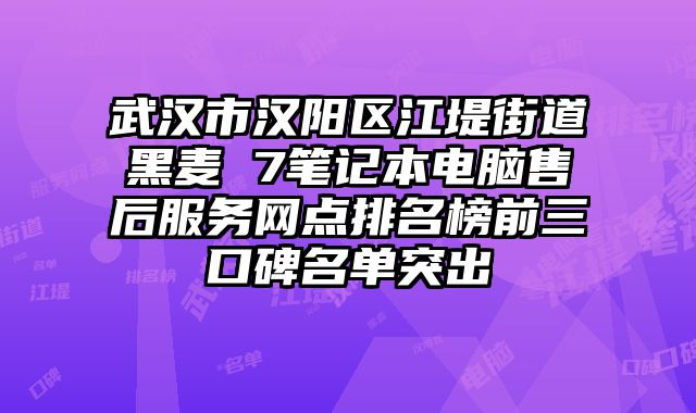 武漢市漢陽區江堤街道黑麥 7筆記本電腦售后服務網點排名榜前三口碑名單突出