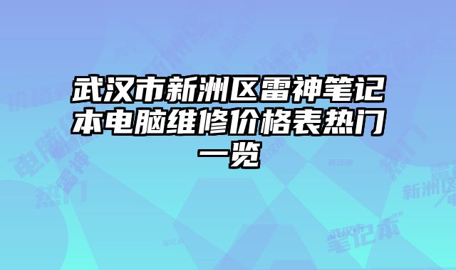 武漢市新洲區(qū)雷神筆記本電腦維修價(jià)格表熱門一覽