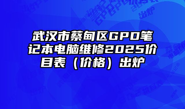 武漢市蔡甸區(qū)GPD筆記本電腦維修2025價(jià)目表（價(jià)格）出爐