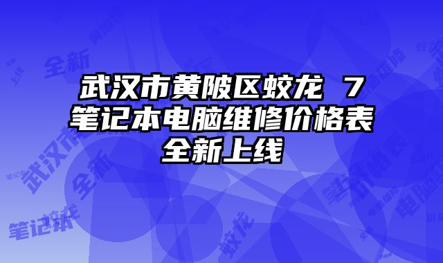 武漢市黃陂區蛟龍 7筆記本電腦維修價格表全新上線