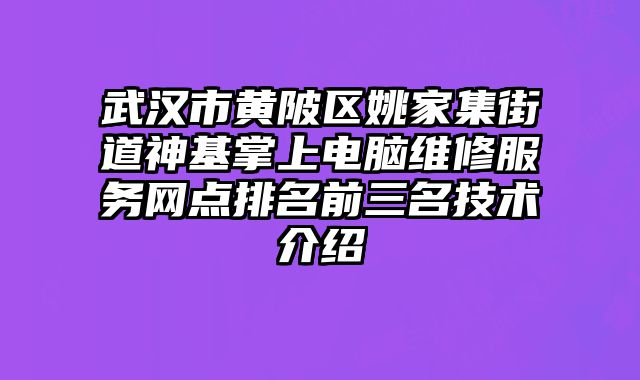 武漢市黃陂區姚家集街道神基掌上電腦維修服務網點排名前三名技術介紹