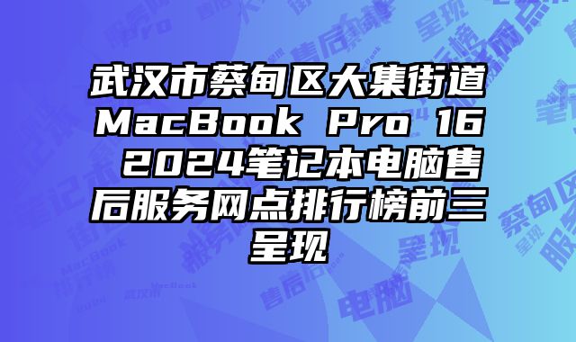 武漢市蔡甸區大集街道MacBook Pro 16 2024筆記本電腦售后服務網點排行榜前三呈現