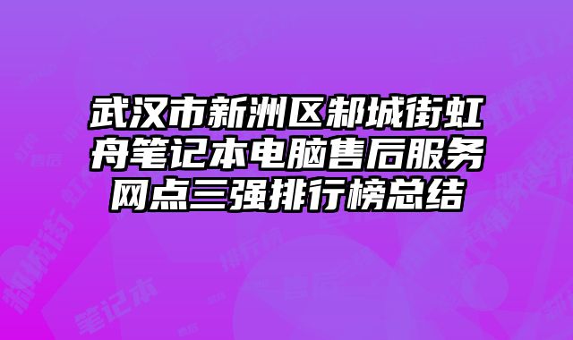 武漢市新洲區邾城街虹舟筆記本電腦售后服務網點三強排行榜總結