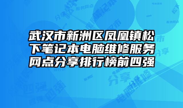 武漢市新洲區鳳凰鎮松下筆記本電腦維修服務網點分享排行榜前四強