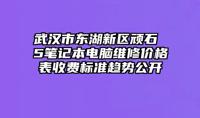 武漢市東湖新區頑石 5筆記本電腦維修價格表收費標準趨勢公開