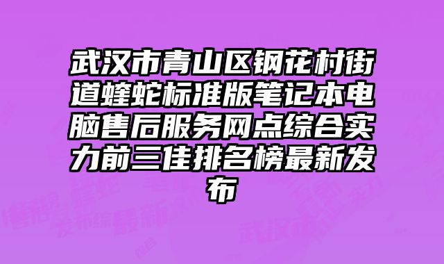 武漢市青山區鋼花村街道蝰蛇標準版筆記本電腦售后服務網點綜合實力前三佳排名榜最新發布