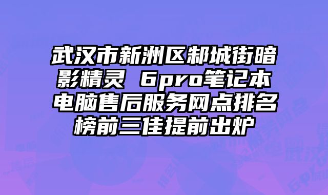 武漢市新洲區邾城街暗影精靈 6pro筆記本電腦售后服務網點排名榜前三佳提前出爐