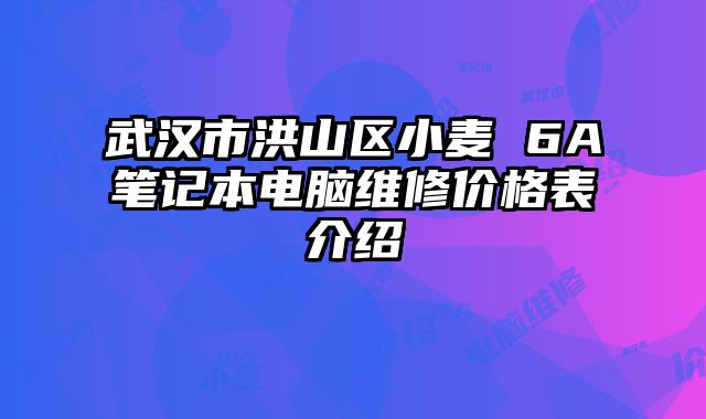 武漢市洪山區小麥 6A筆記本電腦維修價格表介紹
