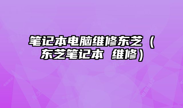 筆記本電腦維修東芝（東芝筆記本 維修）