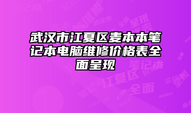 武漢市江夏區麥本本筆記本電腦維修價格表全面呈現