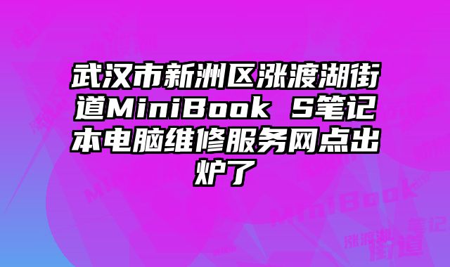 武漢市新洲區漲渡湖街道MiniBook S筆記本電腦維修服務網點出爐了