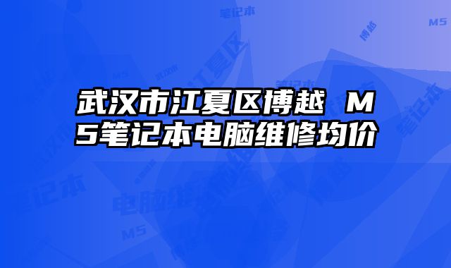 武漢市江夏區博越 M5筆記本電腦維修均價