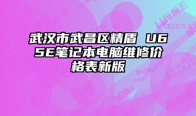 武漢市武昌區精盾 U65E筆記本電腦維修價格表新版