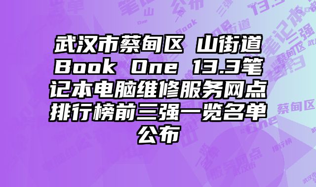 武漢市蔡甸區奓山街道Book One 13.3筆記本電腦維修服務網點排行榜前三強一覽名單公布