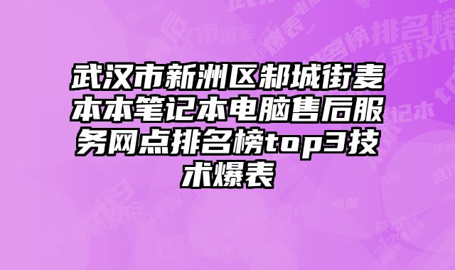 武漢市新洲區邾城街麥本本筆記本電腦售后服務網點排名榜top3技術爆表