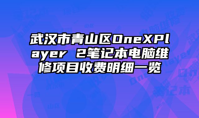 武漢市青山區OneXPlayer 2筆記本電腦維修項目收費明細一覽