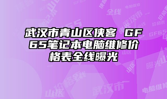 武漢市青山區俠客 GF65筆記本電腦維修價格表全線曝光